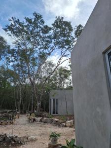 Ecolodge Xocen Birding