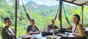 Mirador Jungle El Macuti