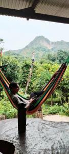 Mirador Jungle El Macuti