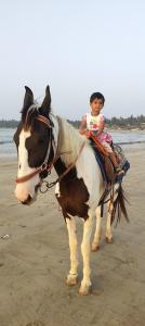 Malvan Beach Homestay