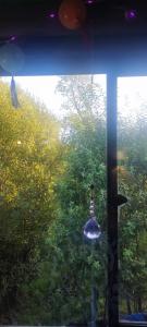 Departamento interior en playa de Mehuin