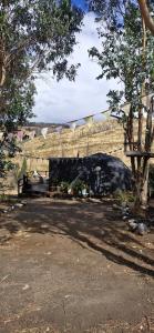 Ecoglamping Nahuelbuta