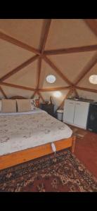 Ecoglamping Nahuelbuta