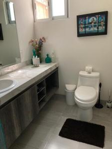 Nature, polyforum, security, comfort