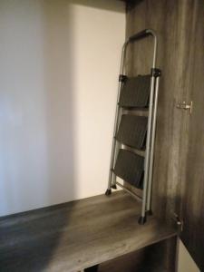 Nature, polyforum, security, comfort