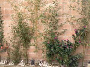 Nature, polyforum, security, comfort