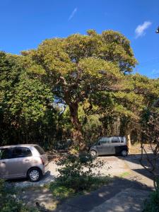 ＯＫＵＮＯ ＩＥ