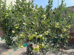 Hermosa Casa de Campo en Azpitia