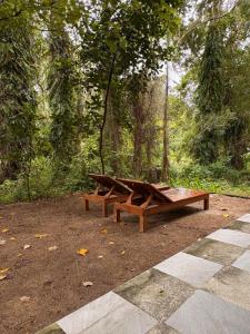 Lakehouse in the Old Rainforest