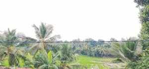 Lake Peark Guest House