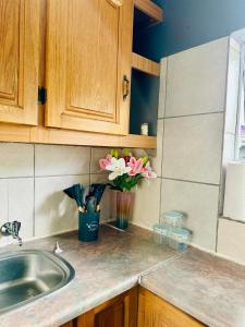 SerenityStay 37 on Zebra