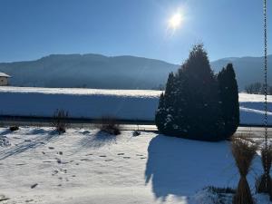 Cozy holiday home with mountain views