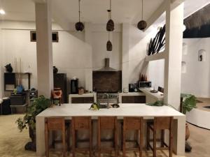 Quinta del jaguar a connection with a nature