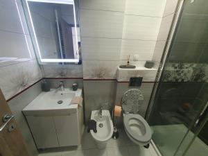 Beautiful 4 persons apartment in Sibiu