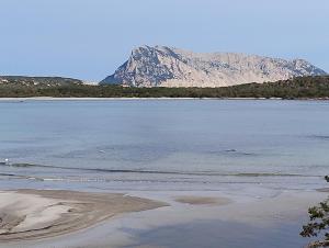 ACQUAMARINA con meraviglioso giardino img4