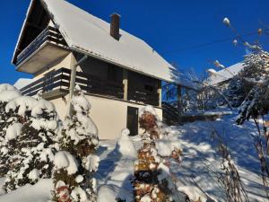 Zlatibor Tornik View