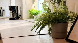 READABOUT IT - Stylish Central Studio