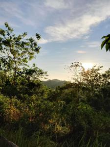 Johannas Farm and Camping Ground