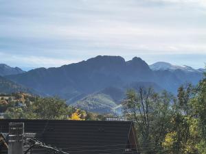 Gąsienica Collection - Apartament Queen z Jacuzzi 2