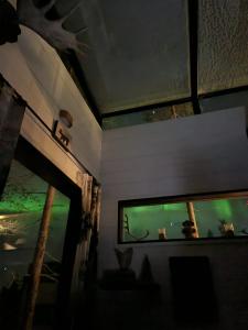 Levi Secret Igloo Revontuli