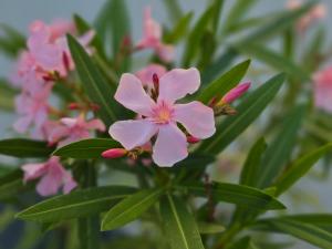 Modern Comfort for 6 Guests 3 Bedrooms Home near Colmar