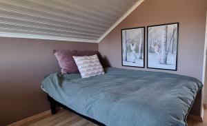 Spacious villa with magnificent view, 8 min from Hudik