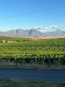 Grand View Cottages - Luxury Poolside Suites