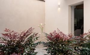 THE HOUSE, GREAT FOR A COUPLE, La CASETTA