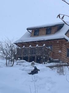 Domki Na Wypasie - Skibus przy domku