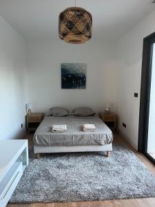 Maison moderne piscine et jacuzzi