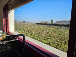 Maison de Vigneron entre Vougeot et Chambertin
