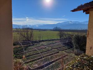 Il Rosmarino - Appartamento con giardino