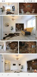 20 percent OFF on cash search Google - Cazare Norsk Skogkatt Galati