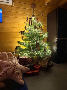 Leśne Zacisze Radawa