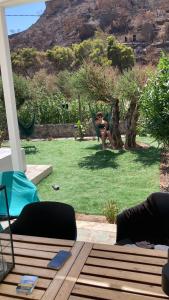 Villa with private pool close to the beach