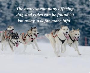 Raanu Apartment 45 minutes from Rovaniemi center