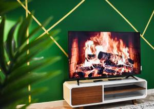 Pinecone apartment - City Centre