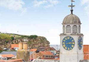 Glasswing Stays The Nest