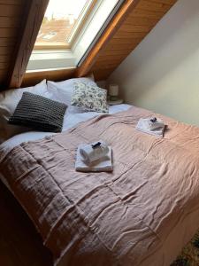 Maison Seeland-ruhig-Natur-Bern-Murten-Neuenburg