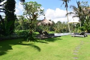 Villa de lujo con piscina infinita y vistas a arrozales