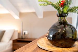 Terme, piste da sci, vista montagne, Rododendro