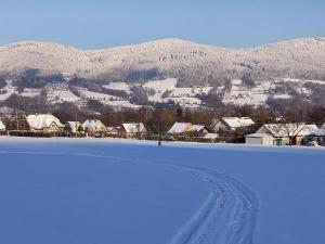 Dom lub apartamenty z widokiem na góry Wichrowe Wzgórza z basenem Brenna