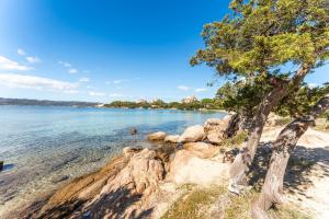 ISA-Residence with swimming-pool just 4 km from Baja Sardinia, apartments with outdoor private space and air conditioning