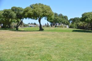 Sugarbird Guesthouse Langebaan