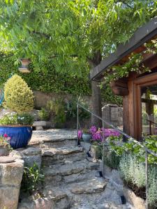 Charming villa with a private pool