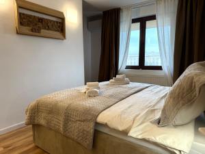 Cozy Central Palace View Bucharest