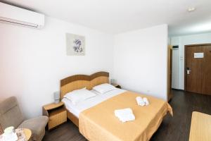 Hotel Siret Saturn