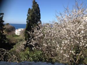 Alkyonis Apartments Kalymnos Greece