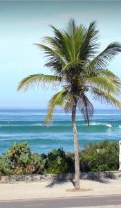 Retreat in Recreio, Close to the Beach and Nature