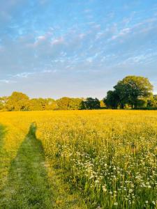 Reinventing the Farm